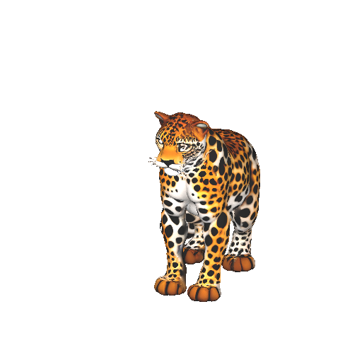 Realistic Leopard 3D Model